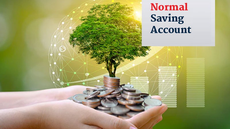 Normal Saving Account (नियमित बचत खाता)